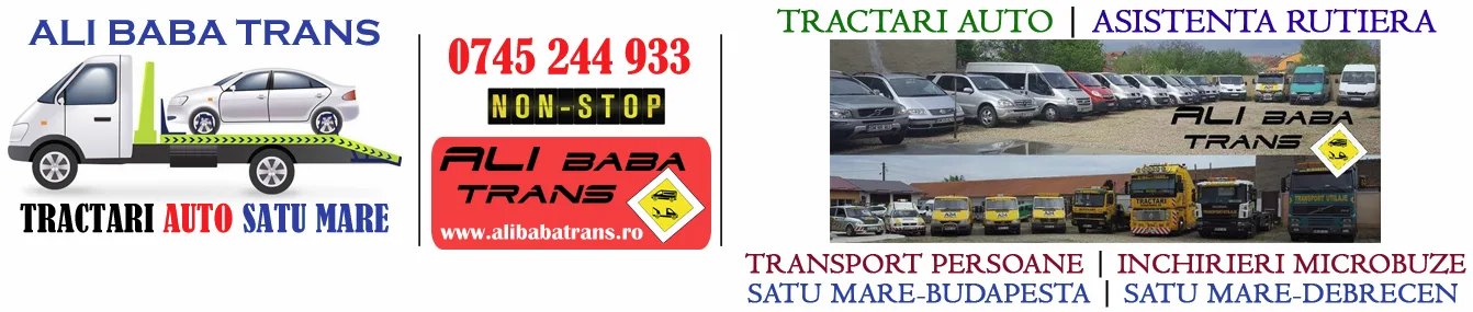 tractari auto remorcari satu mare