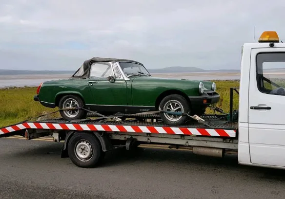 tractari auto remorcari negresti oas